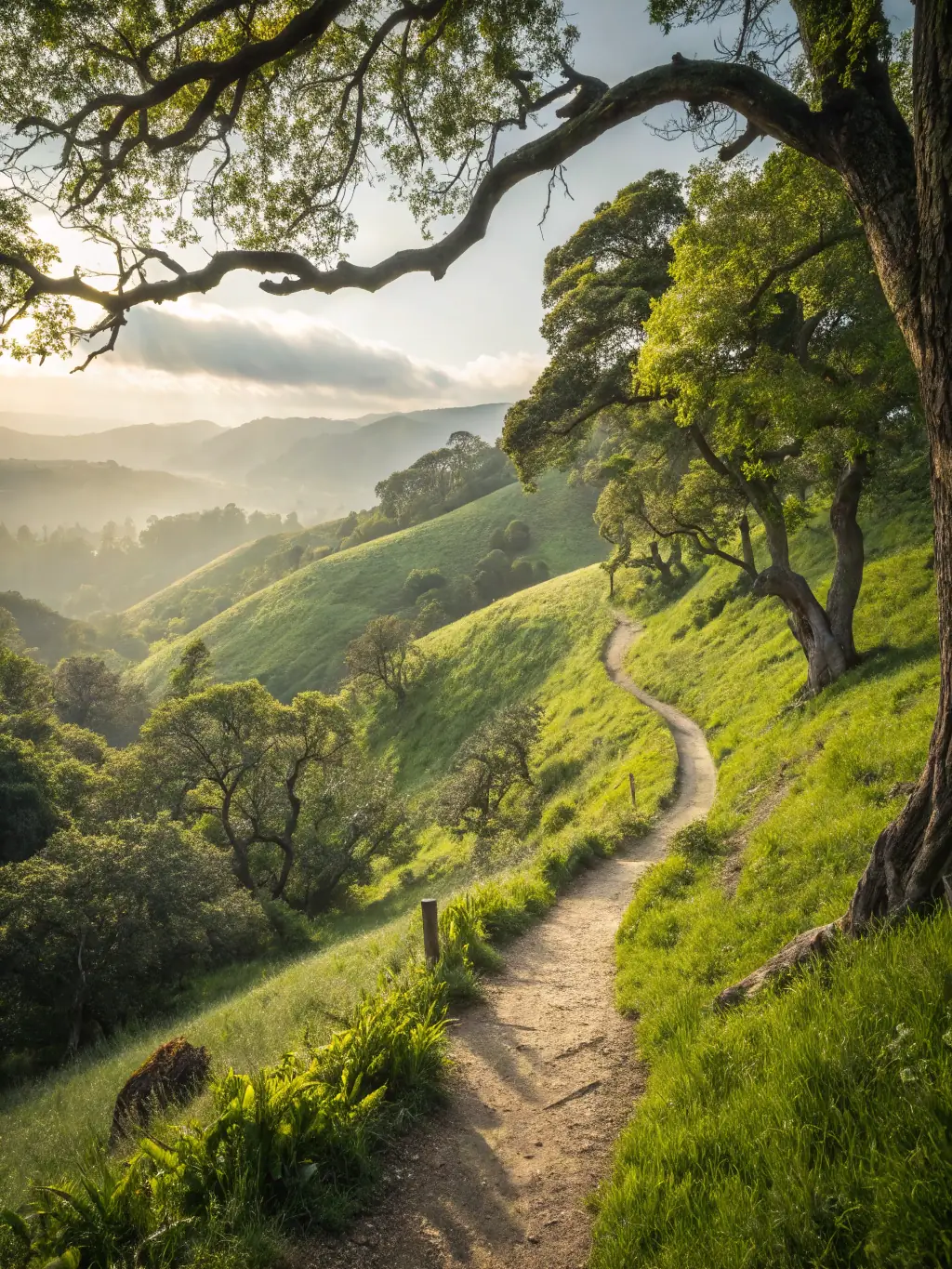 A panoramic view captured during a RAND ONET hike, showcasing the stunning natural beauty and diverse landscapes explored by the club members.